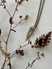 Forbidden Rose - Stone Cooper