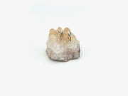 Citrine Harvest Moon Studs - Stone Cooper