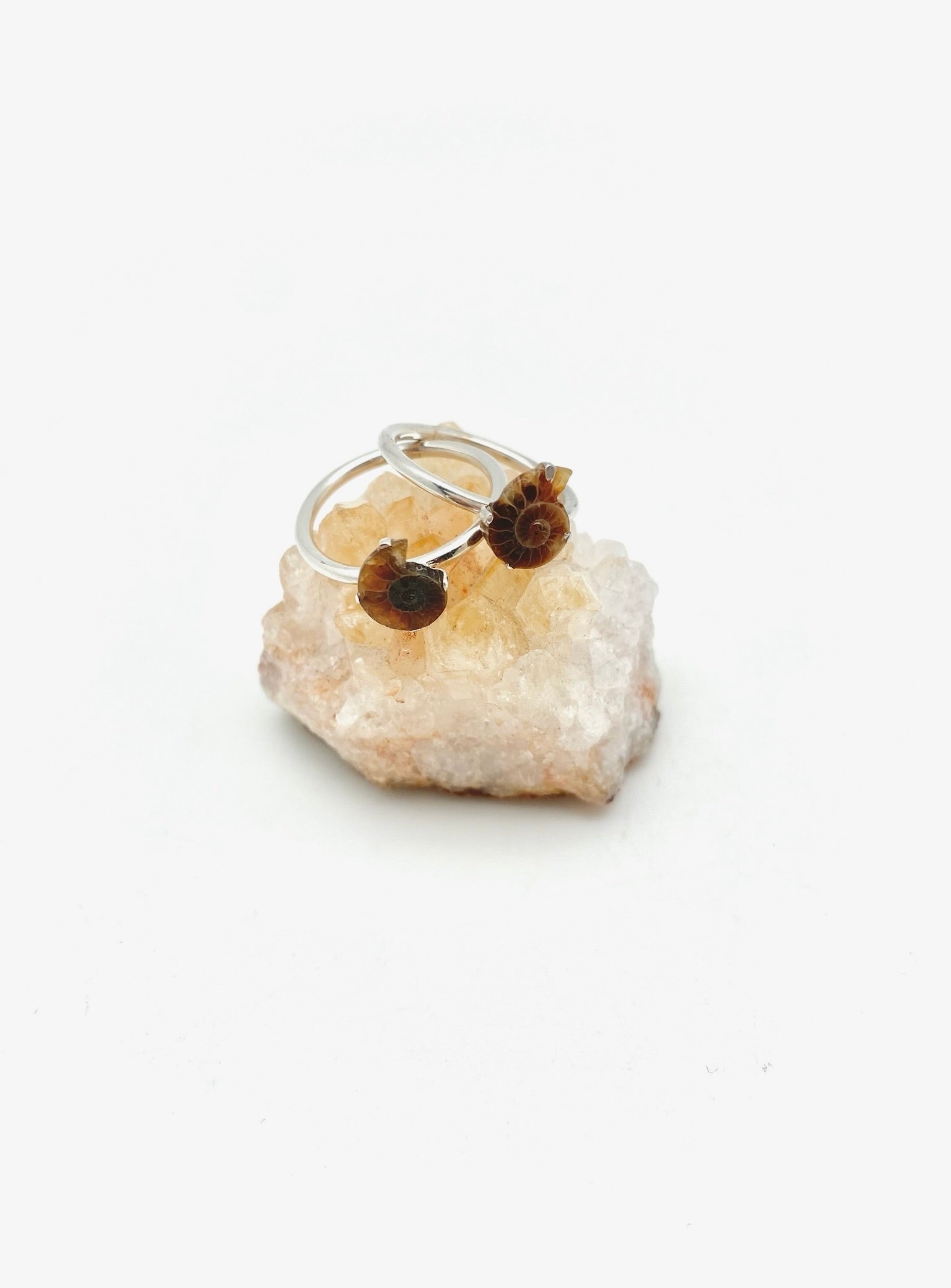 Zoe Ammonite Ring - Stone Cooper