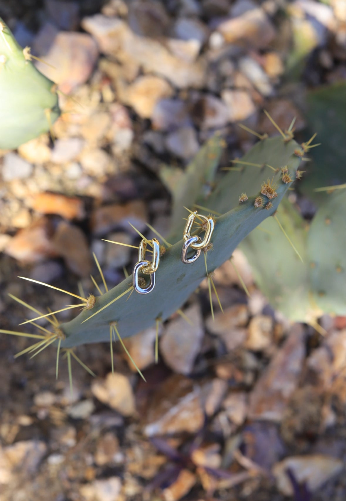 Two-Toned Courtney Huggy Hoops - Stone Cooper