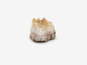 Sparkle Studs - Stone Cooper