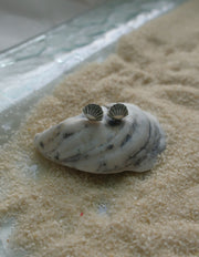 Seashell Studs - Stone Cooper