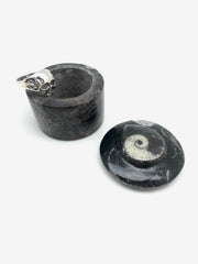 Mini Fossil Box - Stone Cooper