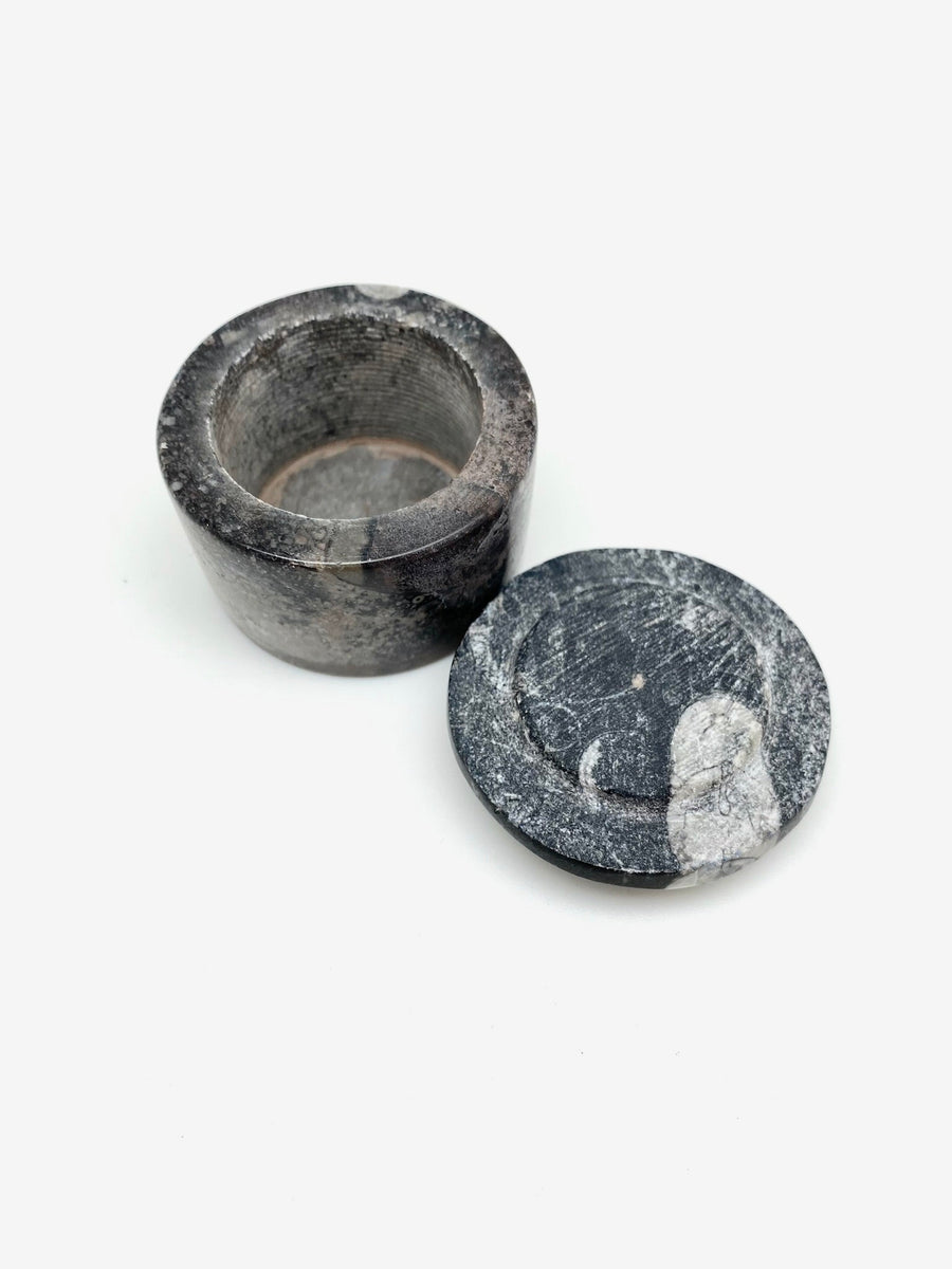 Mini Fossil Box - Stone Cooper