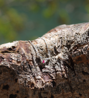 Selma Ruby and Diamond Necklace (14K or .925) - Stone Cooper