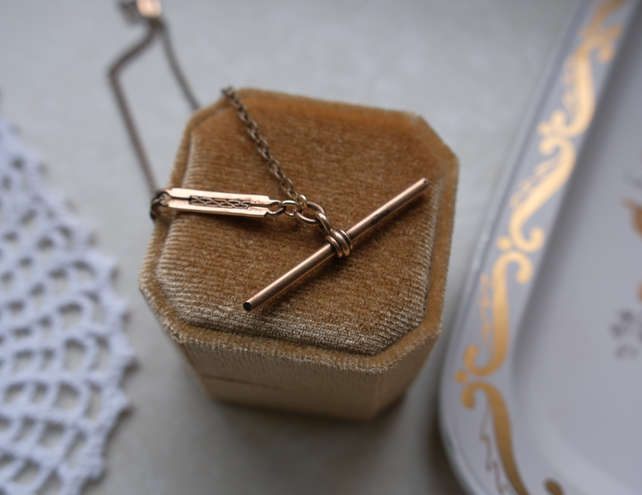 Horus Gold-Filled Watch Chain, T-Bar Necklace - Stone Cooper