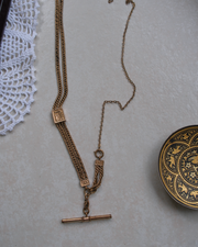 Stavroula Gold-Filled Watch Chain, T-Bar Necklace - Stone Cooper