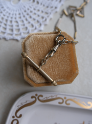 Linda Two-Toned T-Bar, Watch Chain Necklace - Stone Cooper