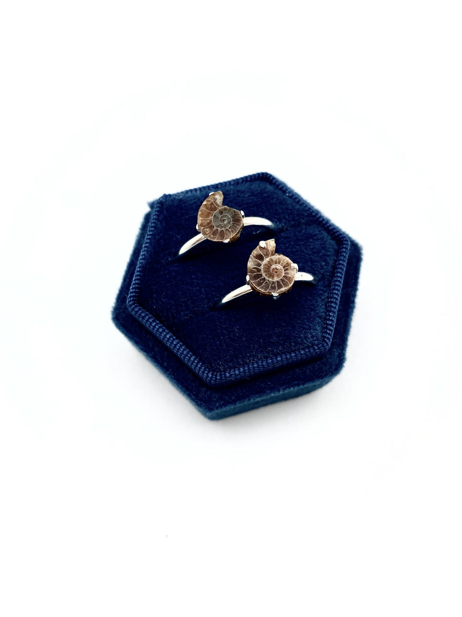 Zoe Ammonite Ring - Stone Cooper