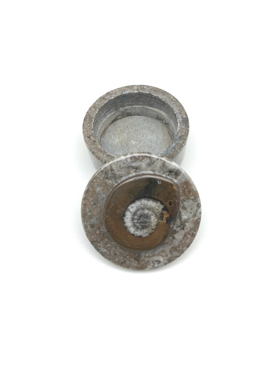 Fossil Box - Stone Cooper