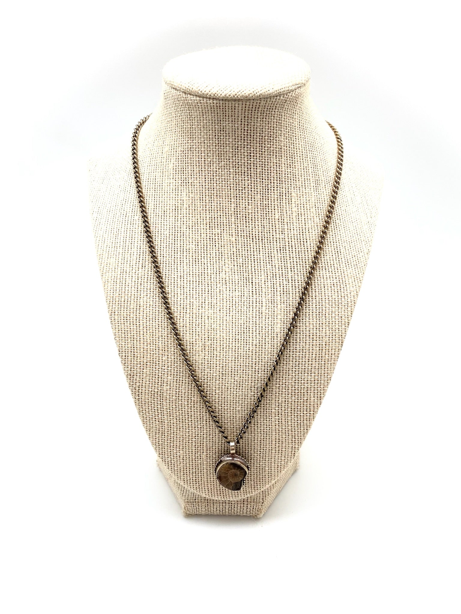Ammonite Necklace - Stone Cooper