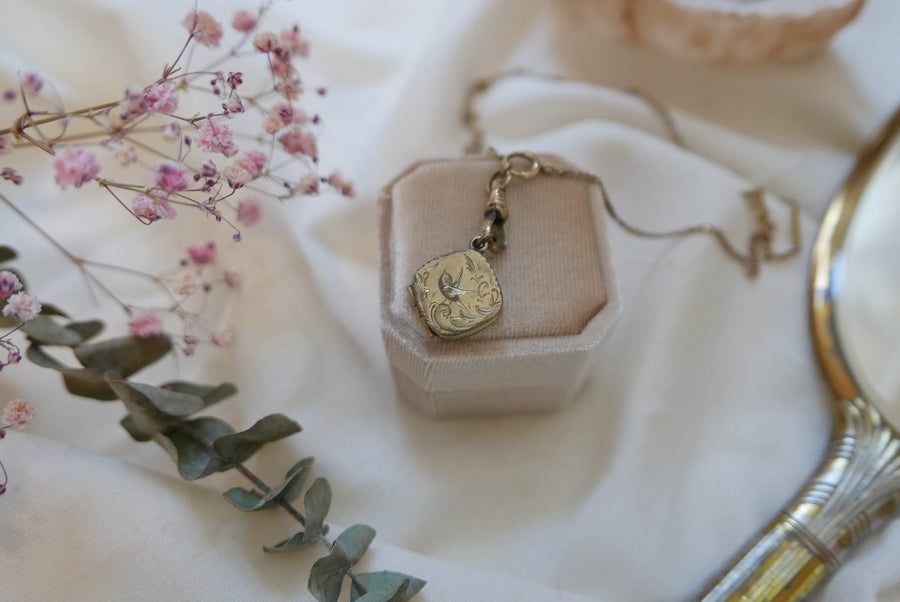 Victorian Etched Bird Locket on Watch Chain