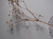 10K Vintage Pearl Diamond Toi Et Moi Ring (5)