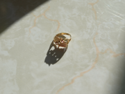 Vintage Black Hills 10K Birthstone Ring. (6.25) - Stone Cooper