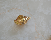 Gold Shell Mini Claw Hairclip - Stone Cooper