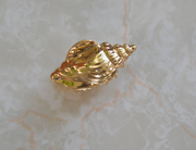Gold Shell Mini Claw Hairclip - Stone Cooper
