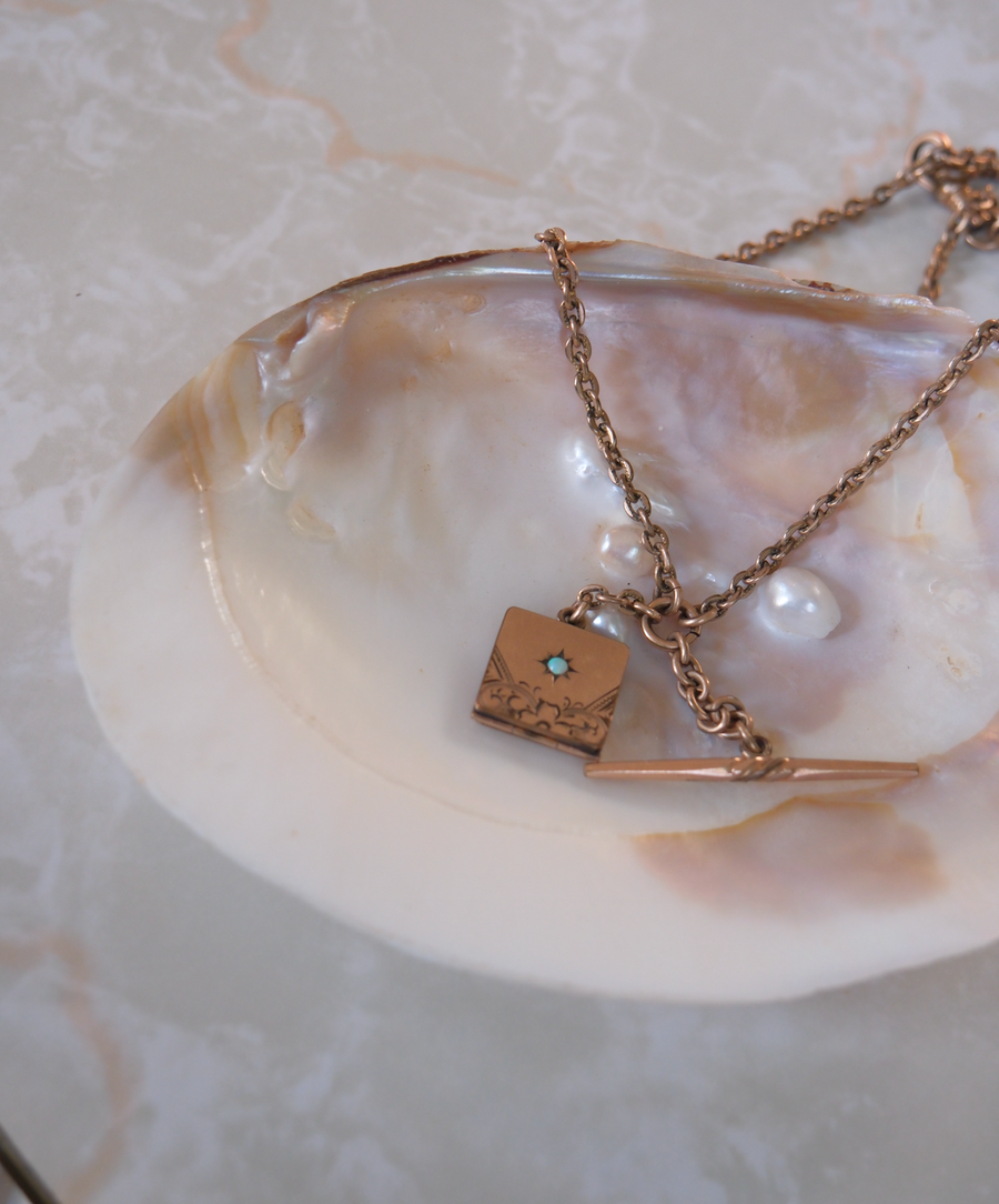 Celeste Gold-Filled T-Bar, Locket Necklace - Stone Cooper