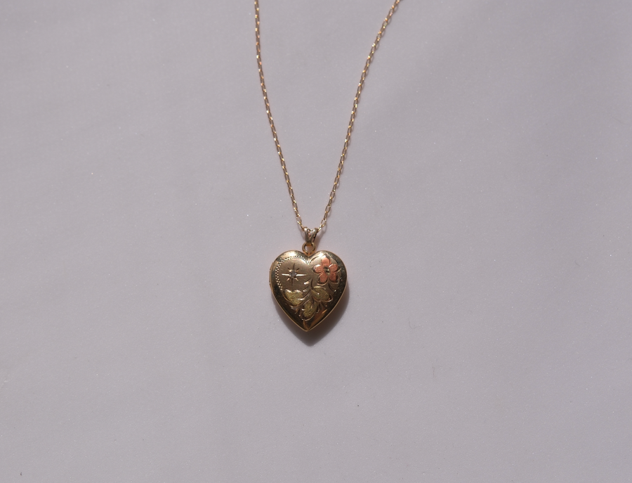 Debra Diamond Accent, Watercolor Gold-Fill Locket - Stone Cooper