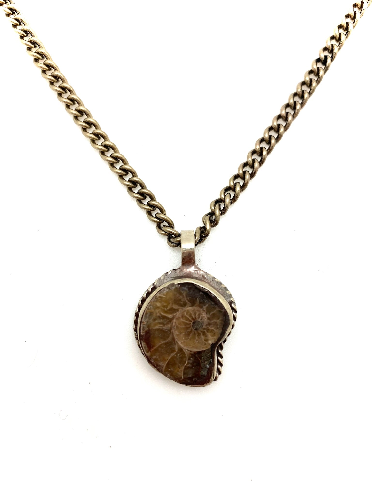 Ammonite Necklace - Stone Cooper