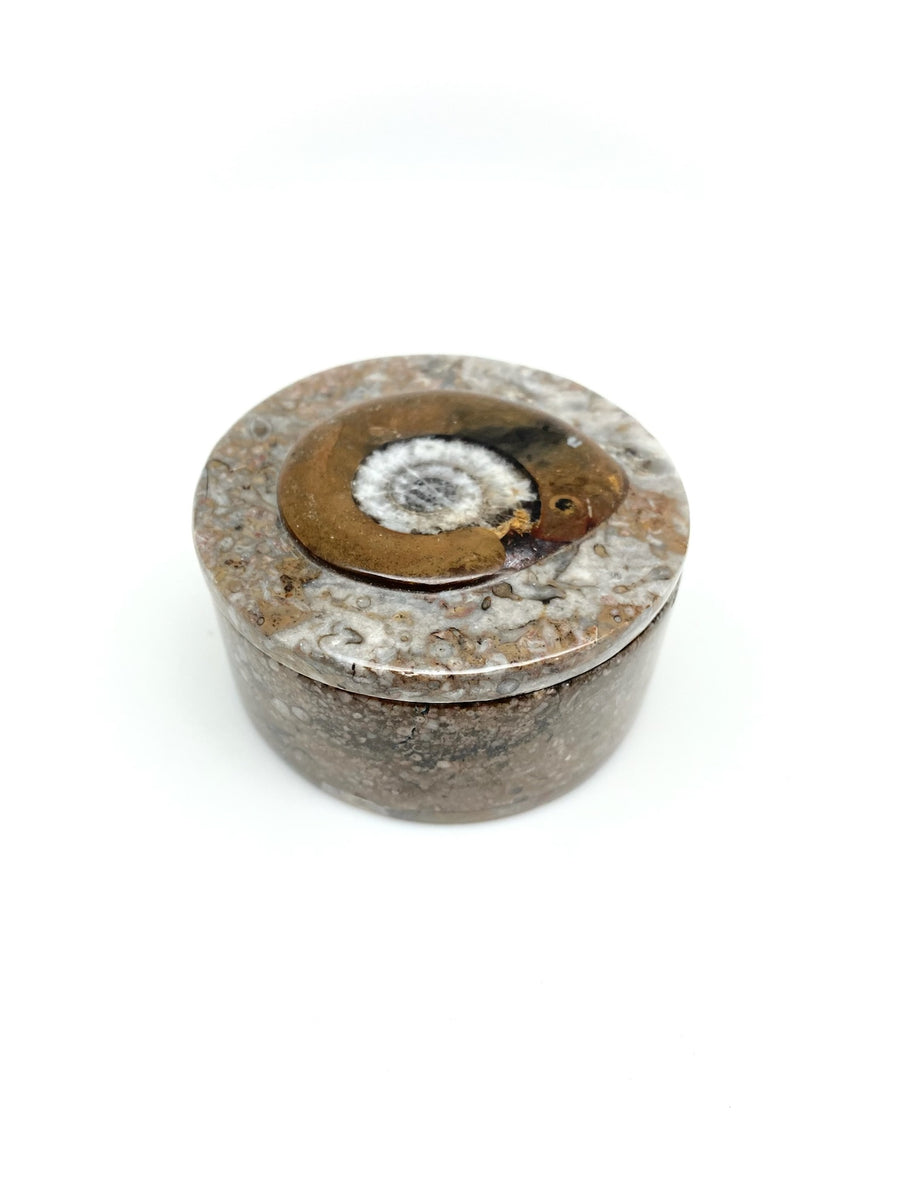 Fossil Box - Stone Cooper